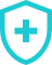 shield icon